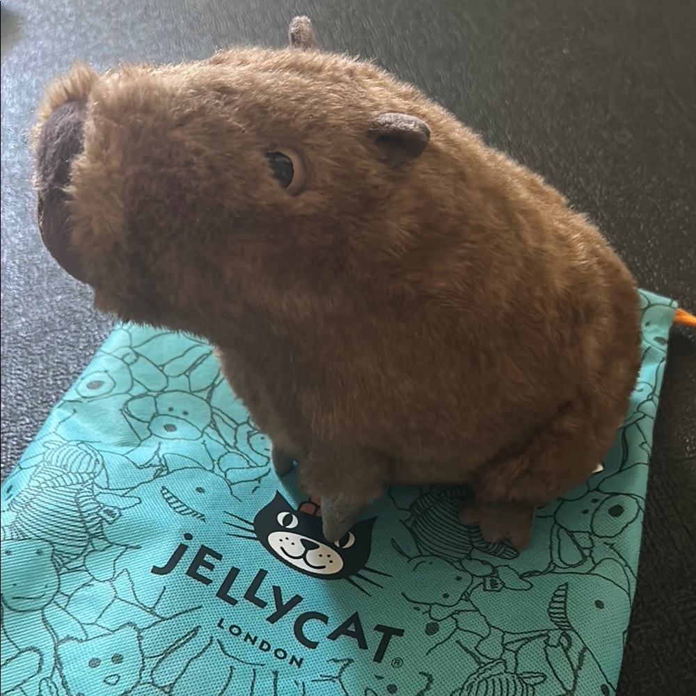 Jellycat Brown Capybara Plush Toy
